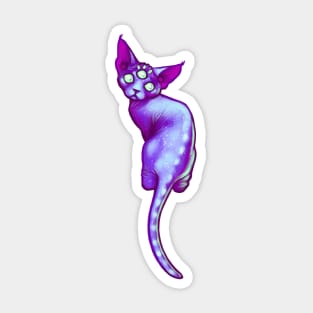 Galaxy Cat Sticker